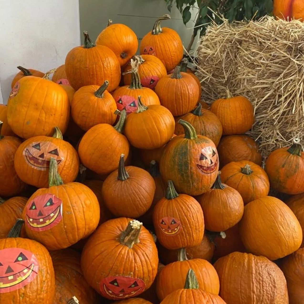 To Αthens Halloween Festival 2026 στο Παλιό Αμαξοστάσιο